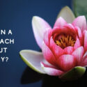 3 Things the Lotus Teaches Us about Recovery