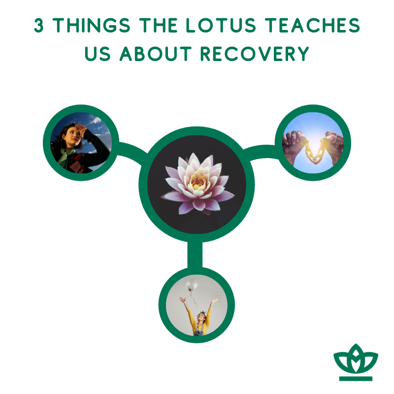 3 things the lotus teaches us about recovery