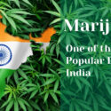 Most Popular Drugs In India: Cannabis/Marijuana (part 3)