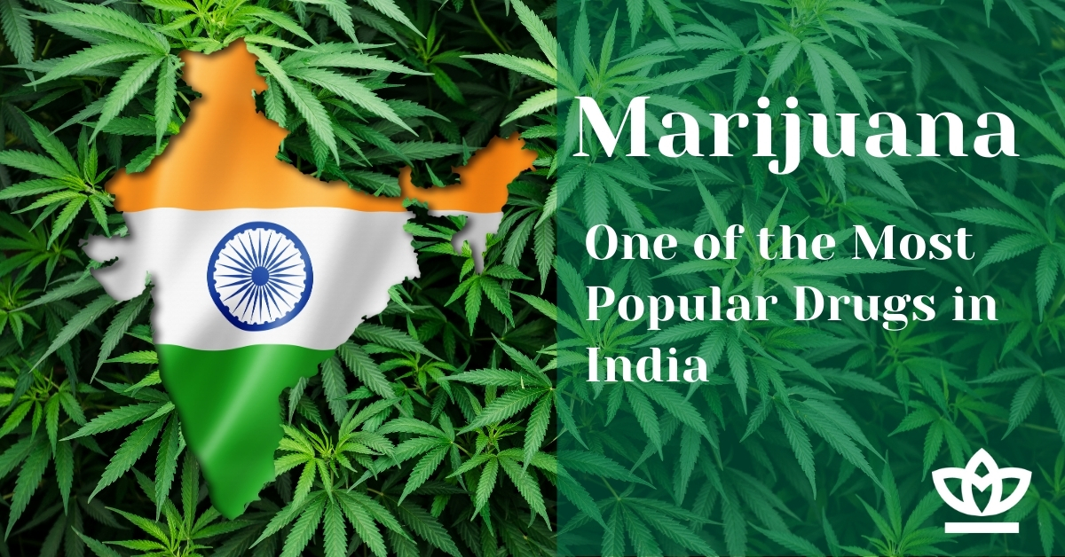 Marijuana one of the most popular drugs in India