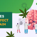 How does weed affect your brain