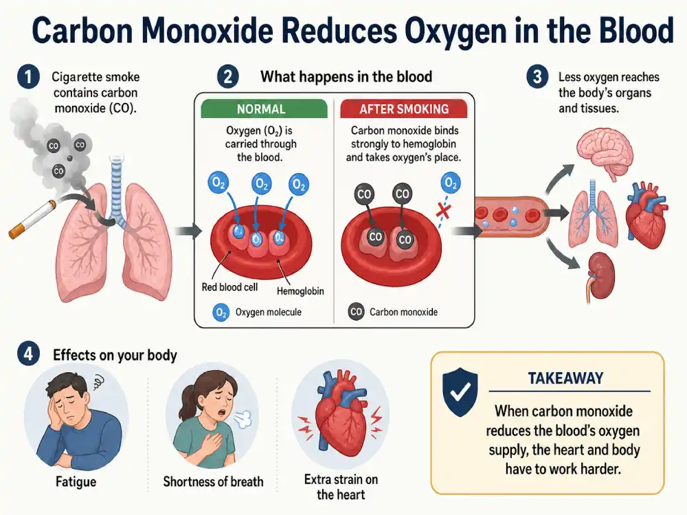 does cigarette smoke have carbon monoxide What does smoking do to your body?